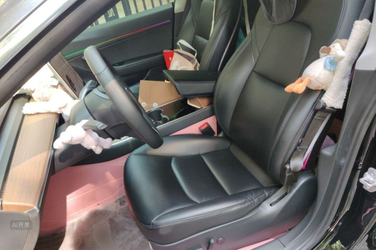 Tesla Model 3 2020 immagine di auto #17