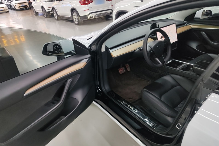 Tesla Model 3 2021 #16 Tesla Model 3 2021 immagine di auto #16