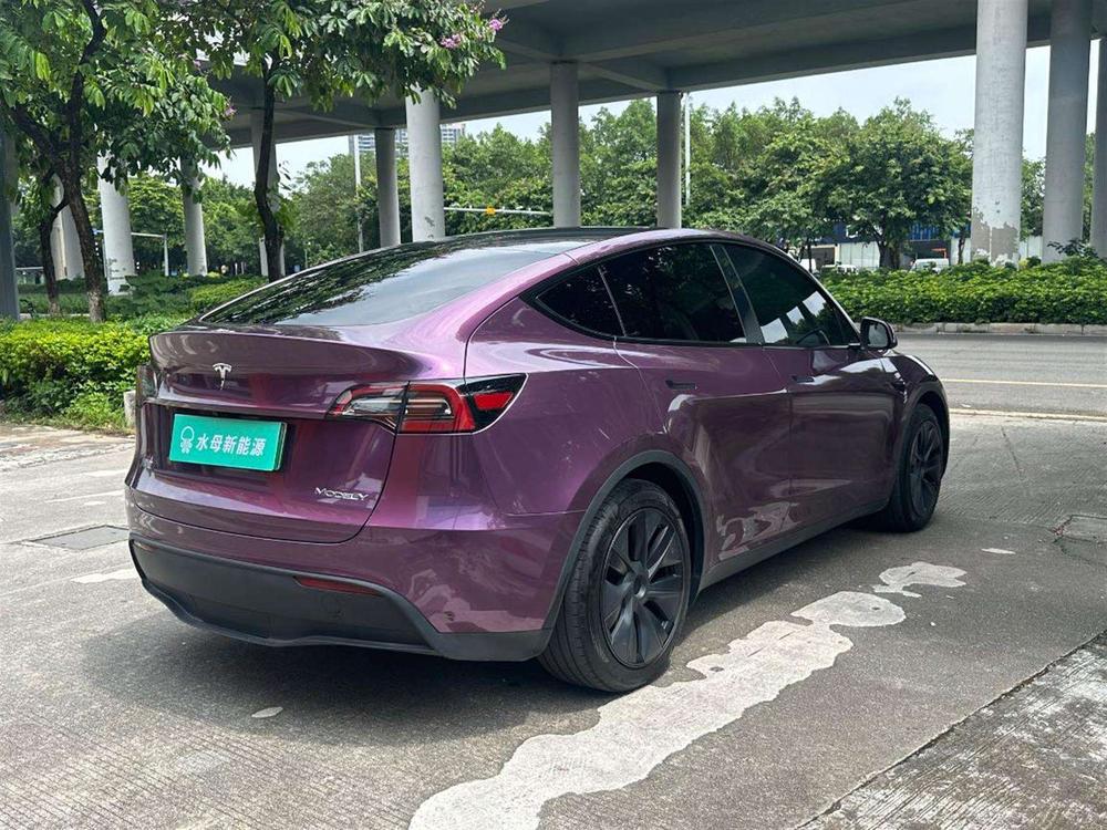 Tesla Model Y 2024 car image #6