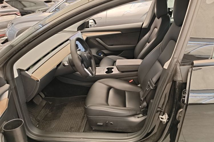 Tesla Model 3 2021 car image #15