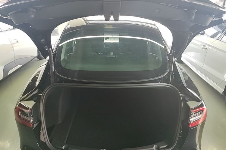 Tesla Model 3 2021 #19 Tesla Model 3 2021 car image #19