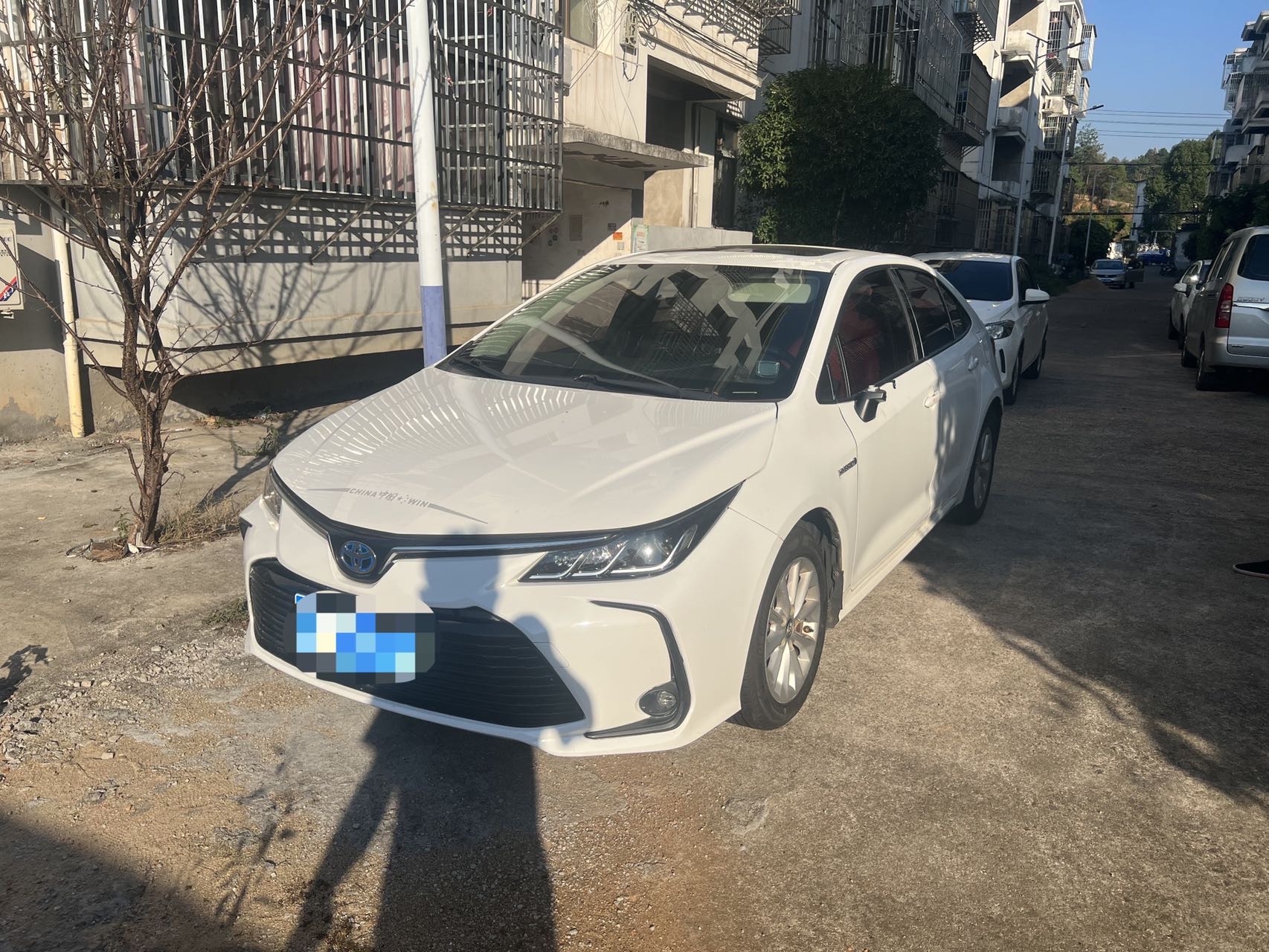 Toyota Corolla 2022 Toyota Corolla 2022 immagine di auto