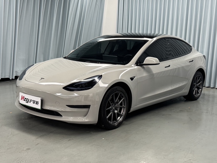 Tesla Model 3 2021 Tesla Model 3 2021 car image