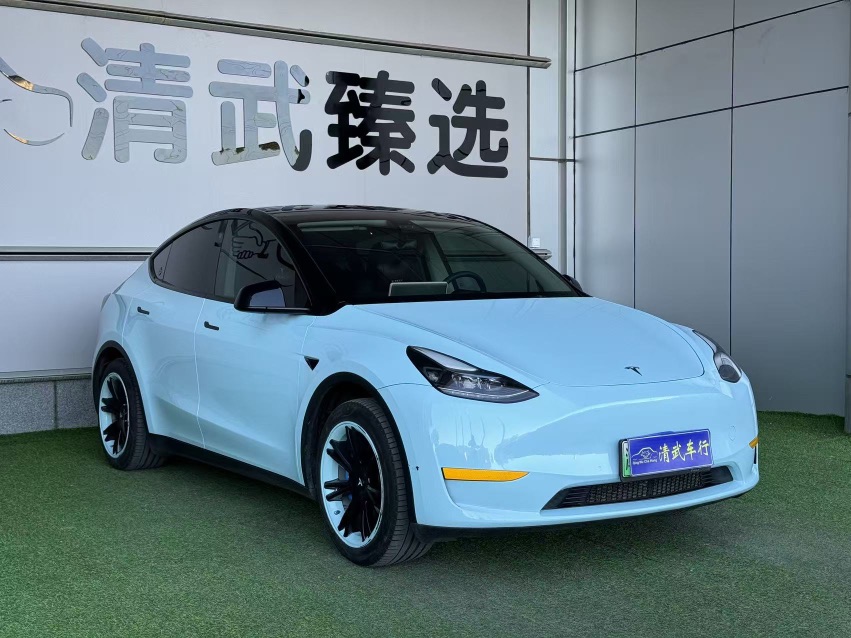 Tesla Model Y 2023 car image 