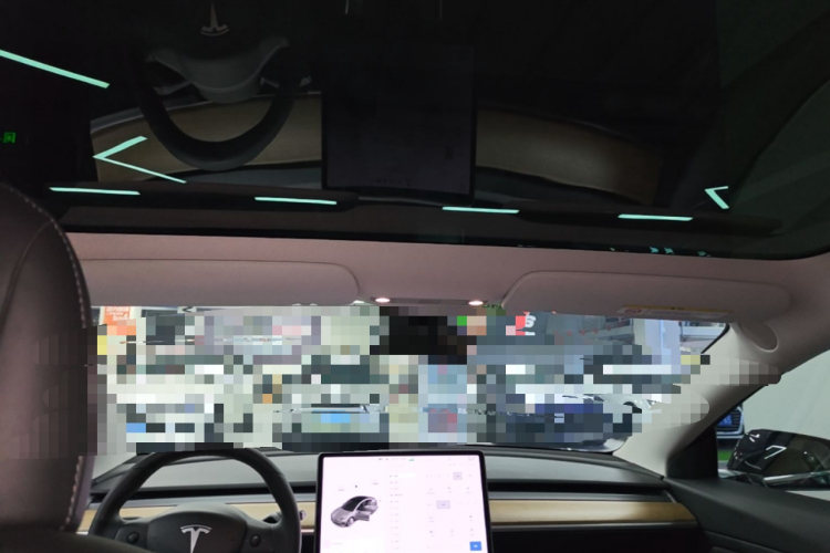 Tesla Model 3 2020 car image #18