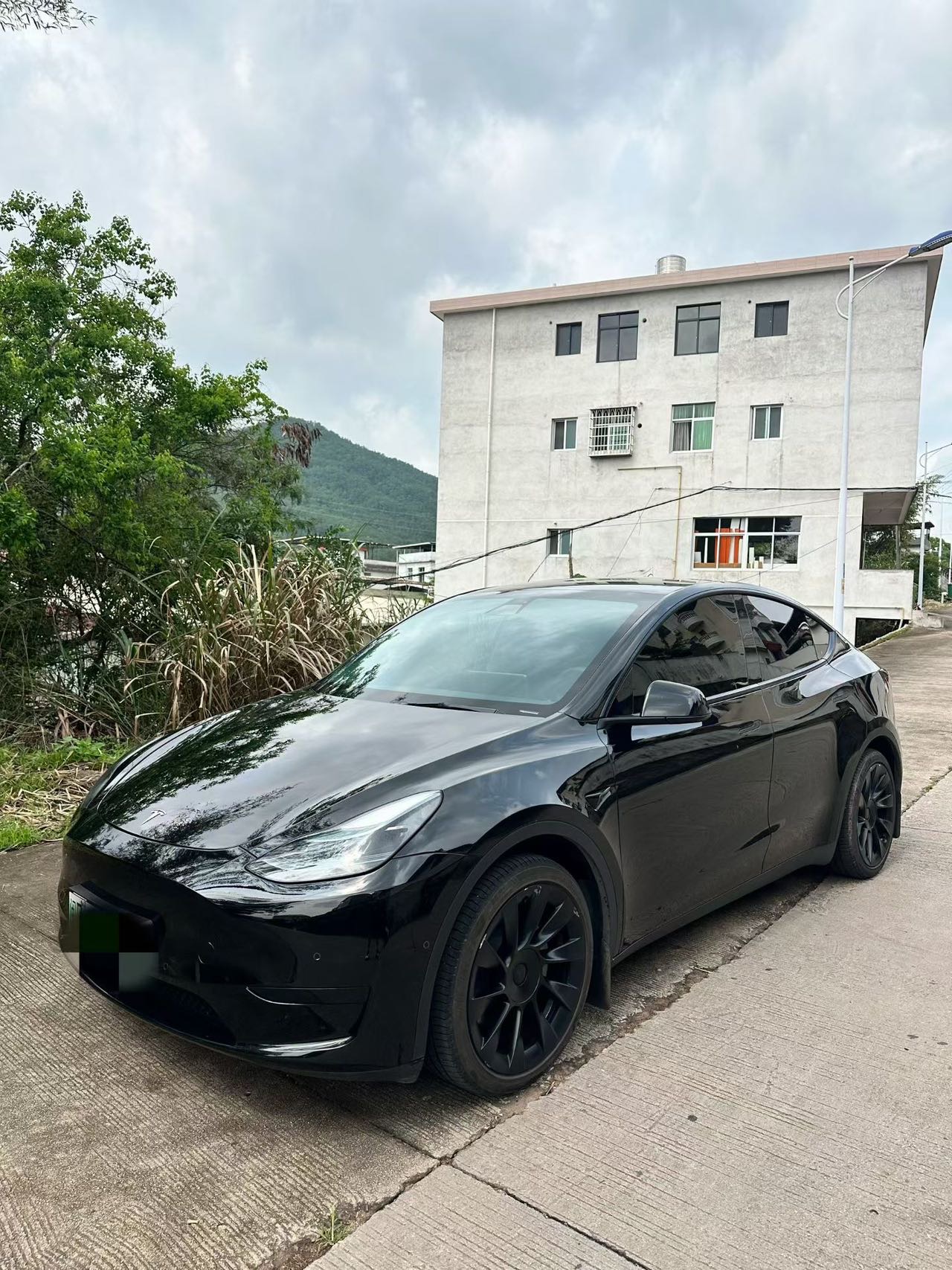 Tesla Model Y 2023 Tesla Model Y 2023 car image