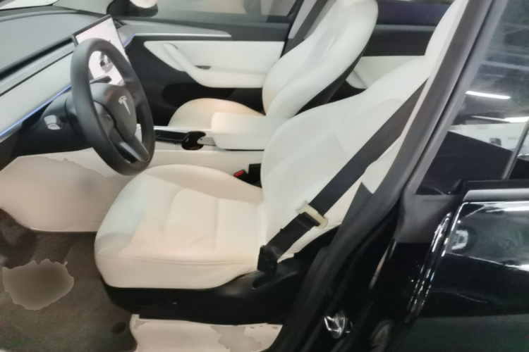Tesla Model Y 2023 immagine di auto #15