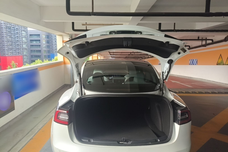 Tesla Model 3 2021 car image #19