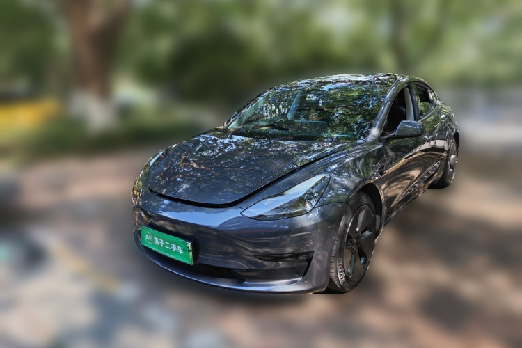 Tesla Model 3 2021 #2 Tesla Model 3 2021 immagine di auto #2