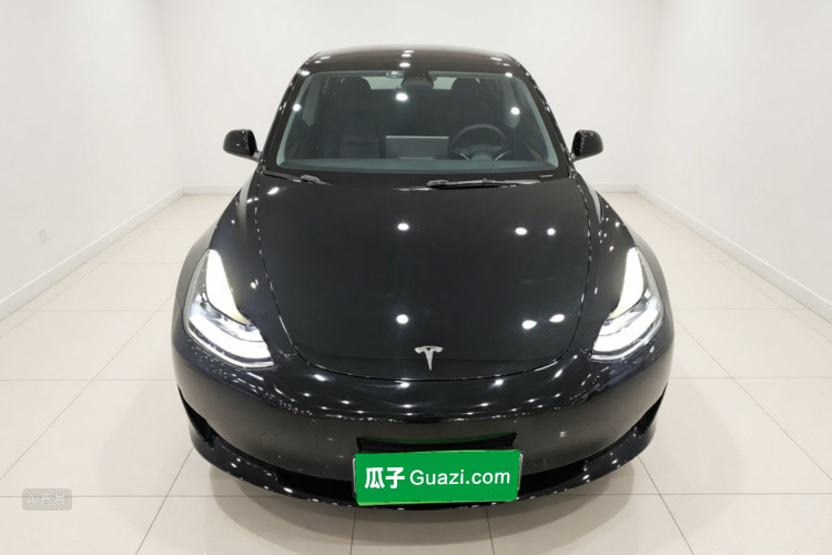 Tesla Model 3 2021 car image #3