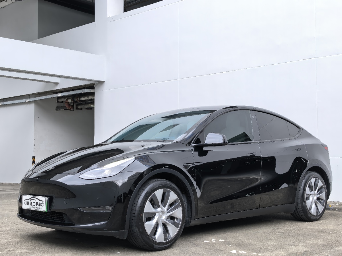 Tesla Model Y 2021 Tesla Model Y 2021 car image