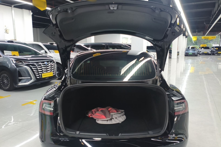 Tesla Model 3 2020 car image #21