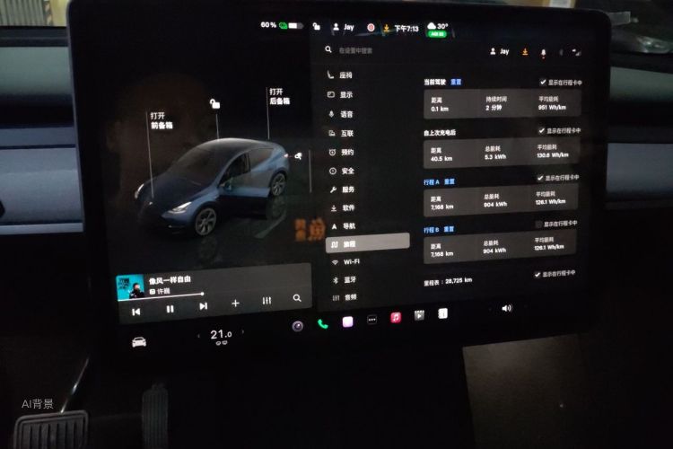 Tesla Model Y 2024 car image #13