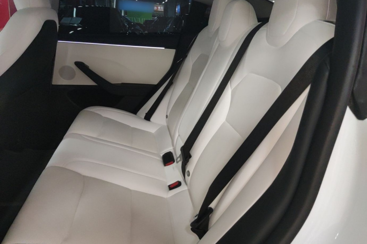 Tesla Model 3 2024 car image #17