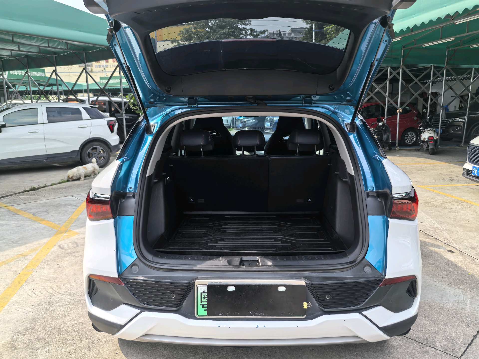 BYD Yuan Plus 2023 #9 BYD Yuan Plus 2023 image de voiture #9