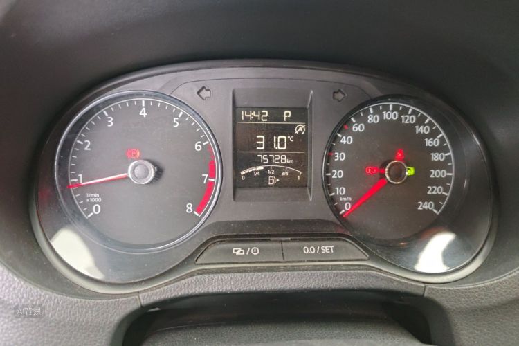 Volkswagen Polo 2019 car image #14
