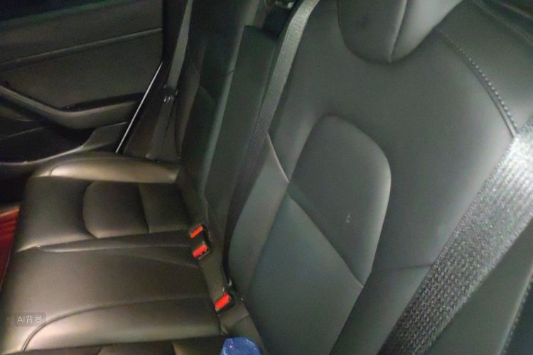 Tesla Model 3 2020 car image #19