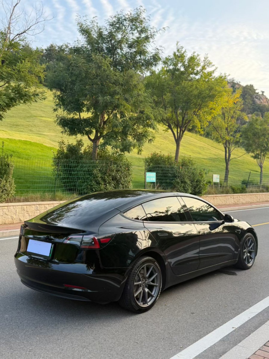 Tesla Model 3 2022 car image #9
