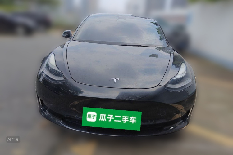 Tesla Model 3 2021 #3 Tesla Model 3 2021 car image #3