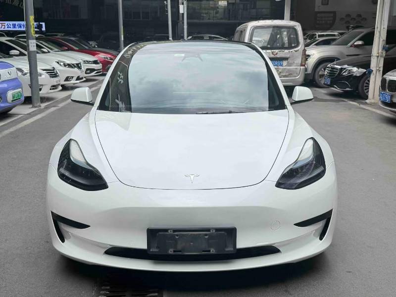 Tesla Model 3 2022 car image #2