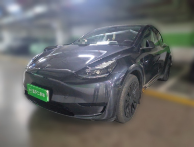 Tesla Model Y 2024 Tesla Model Y 2024 car image