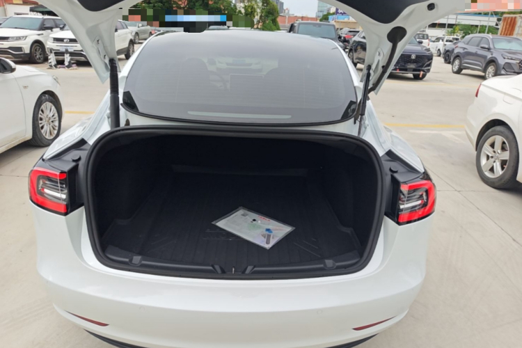 Tesla Model 3 2021 car image #19