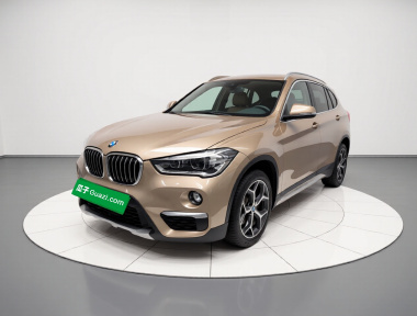 BMW X1 2019 car image 
