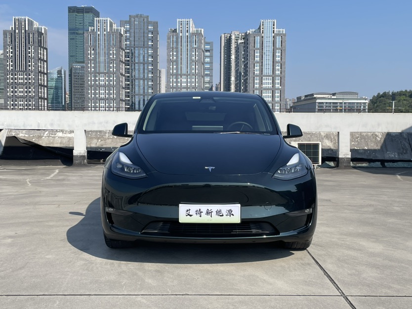 Tesla Model Y 2021 car image #2