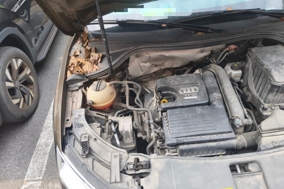 Audi Q3 2017 #11 Audi Q3 2017 car image #11