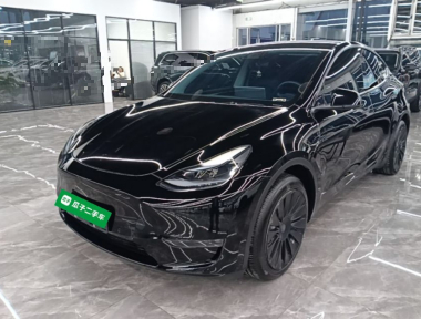 Tesla Model Y 2023 Tesla Model Y 2023 car image