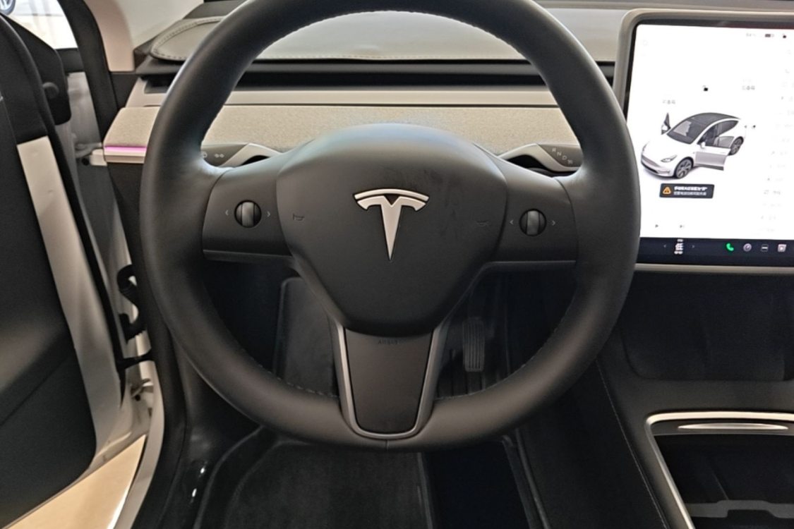 Tesla Model Y 2024 car image #11