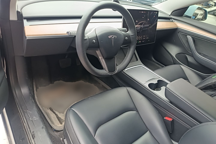 Tesla Model 3 2022 immagine di auto #10