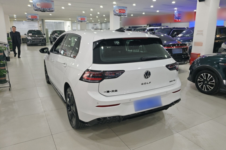 Volkswagen Golf 2024 car image #7