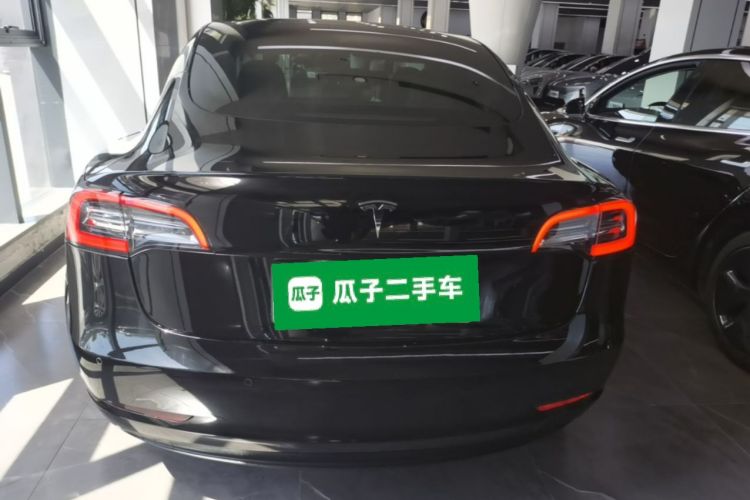 Tesla Model 3 2021 #6 Tesla Model 3 2021 car image #6