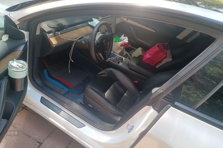 Tesla Model 3 2022 #18 Tesla Model 3 2022 car image #18