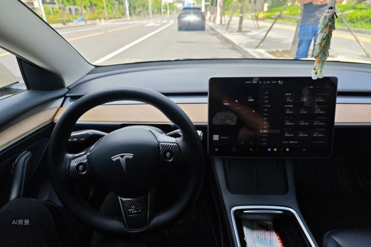 Tesla Model 3 2022 car image #13