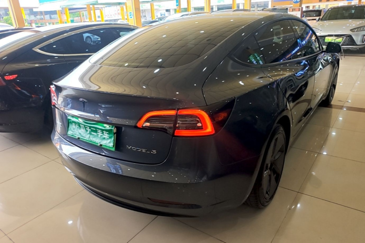 Tesla Model 3 2021 car image #7