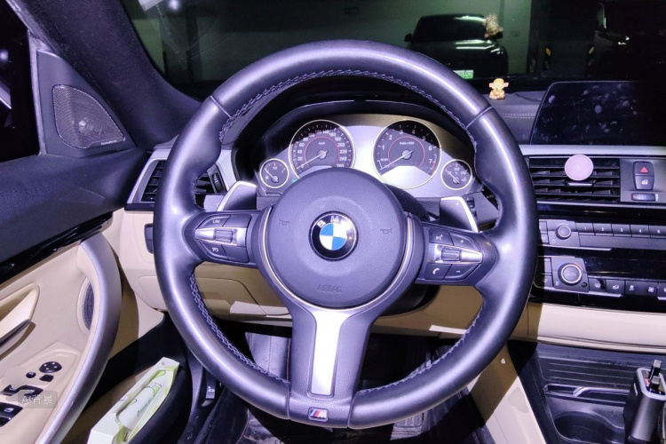 BMW 3 Series GT 2017 car image #12