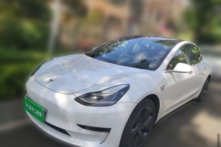 Tesla Model 3 2020 car image #7