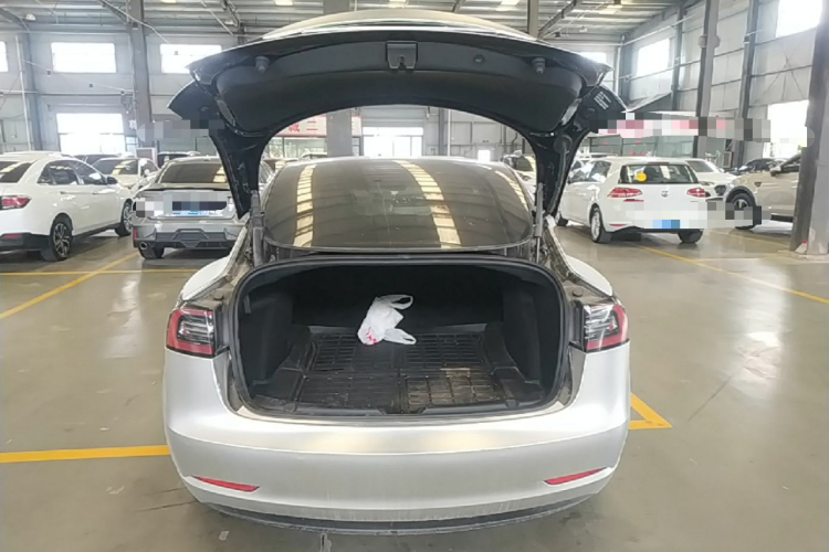 Tesla Model 3 2021 car image #19