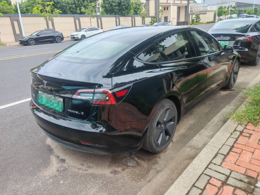 Tesla Model 3 2021 imagem de carro #5