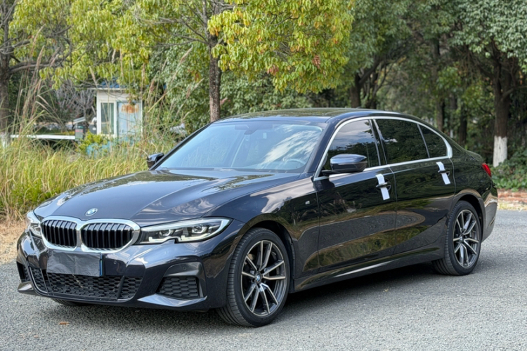 BMW 3 Series 2020 imagem de carro #2