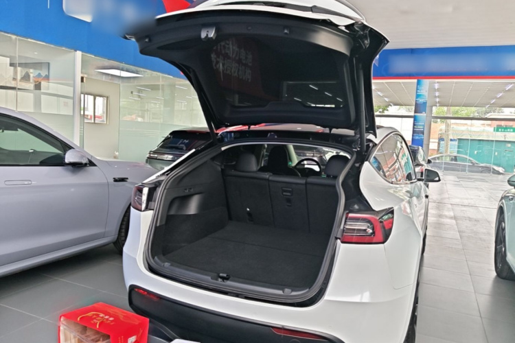 Tesla Model Y 2022 #24 Tesla Model Y 2022 car image #24