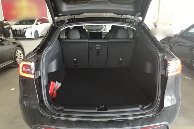 Tesla Model Y 2023 car image #19