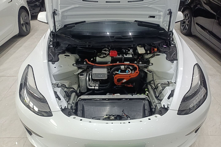 Tesla Model 3 2021 #20 Tesla Model 3 2021 car image #20