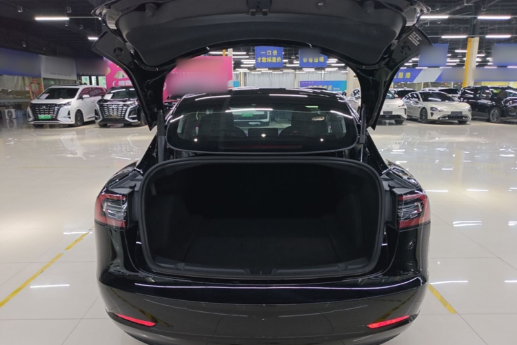 Tesla Model 3 2021 car image #19