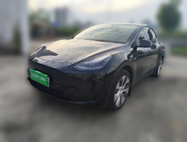 Tesla Model Y 2022 car image 