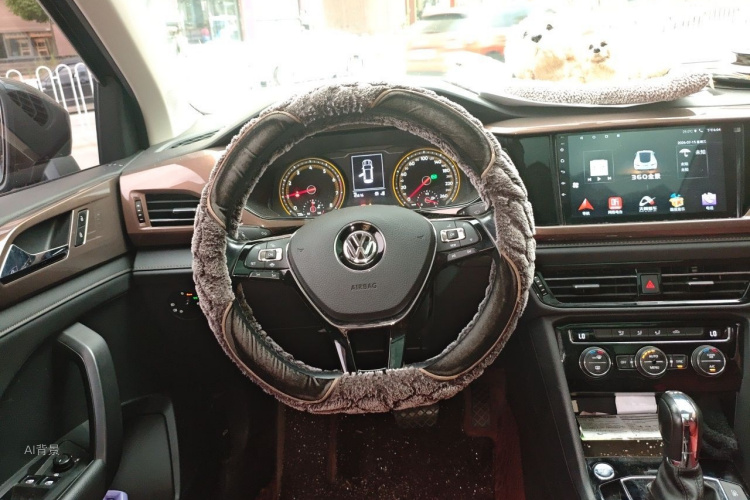 Volkswagen Tharu 2020 car image #12