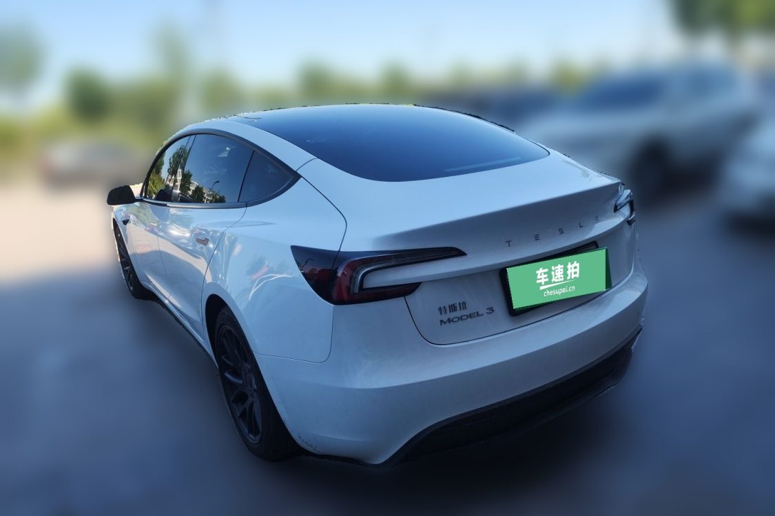 Tesla Model 3 2025 imagen de coche #3