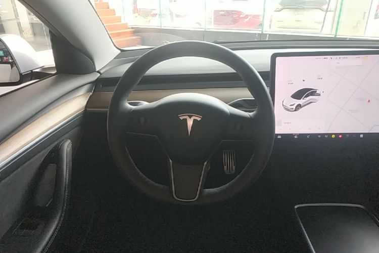 Tesla Model 3 2021 car image #11